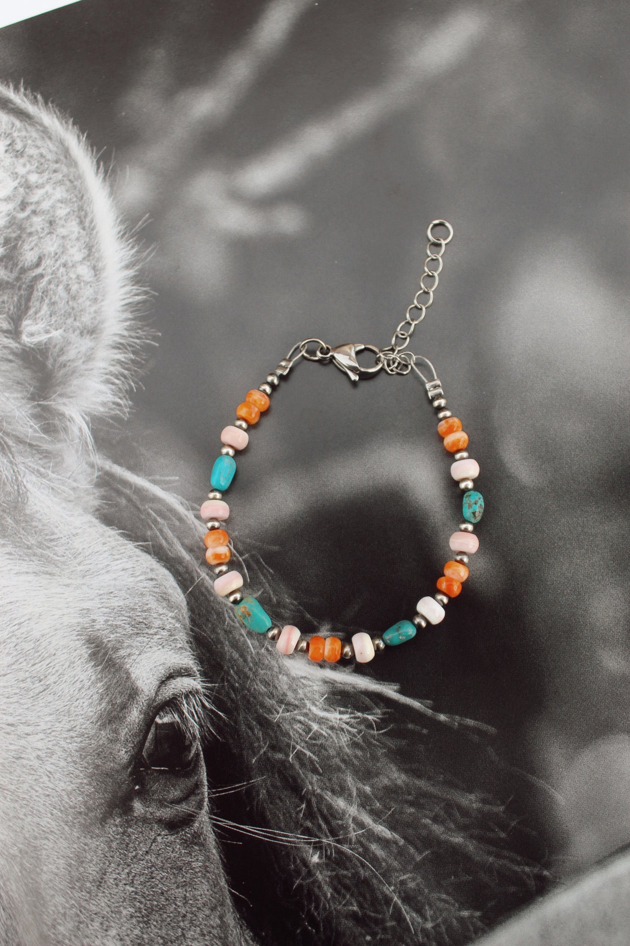 Orange Spiny, Pink conch, and Kingman Turquoise Bracelet