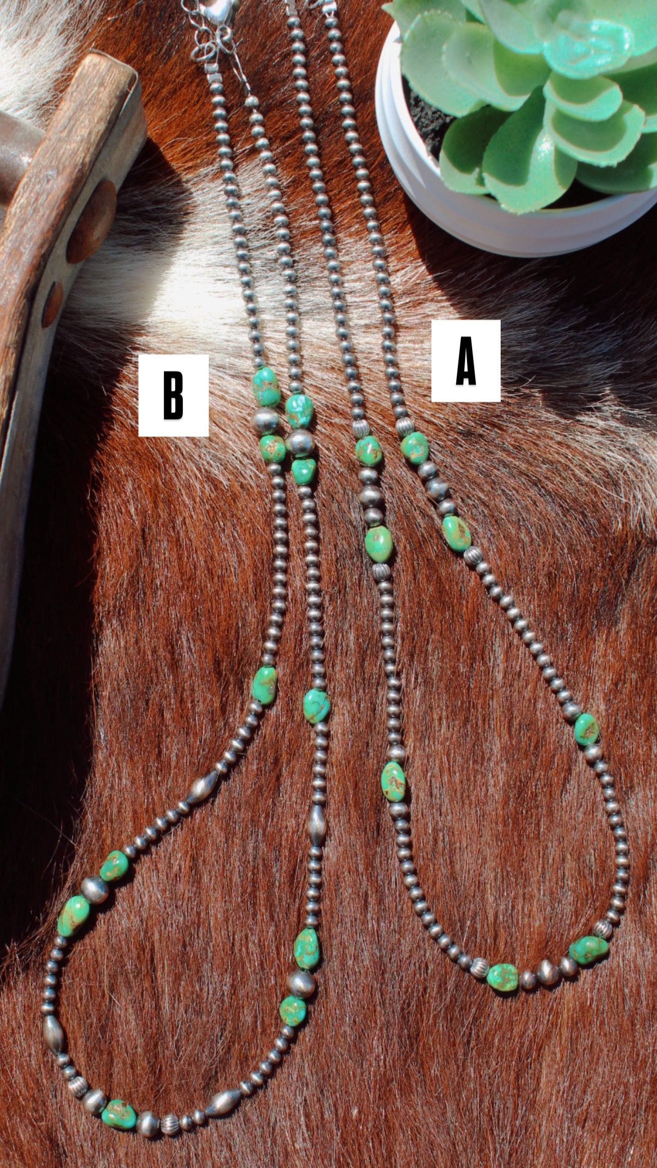 The Elora and The Elowen