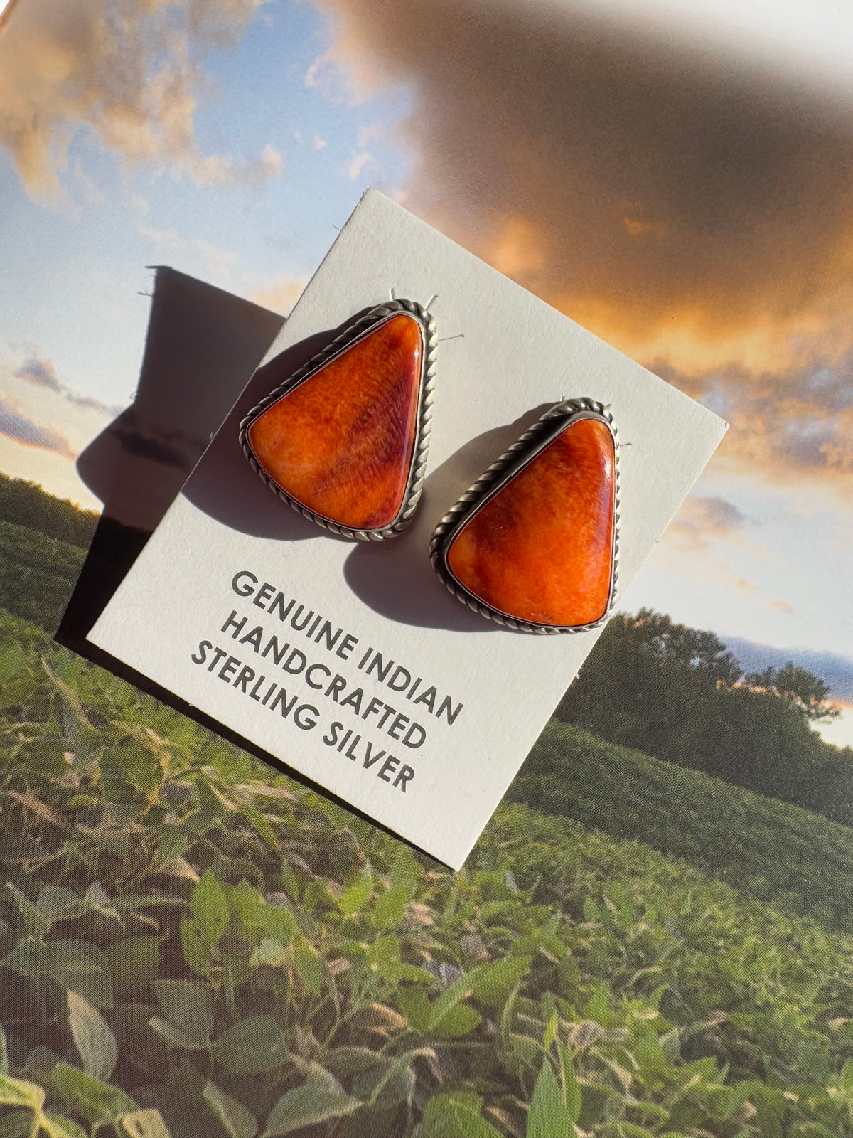 Orange Spiny Stud Earrings