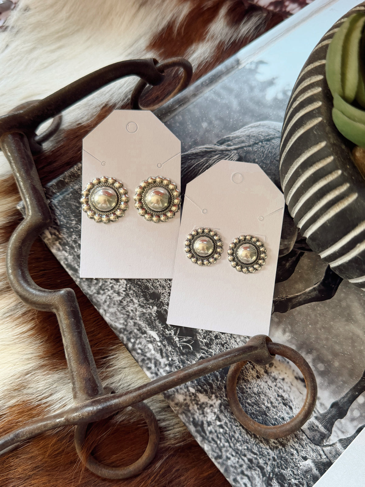 Sterling Silver Earrings
